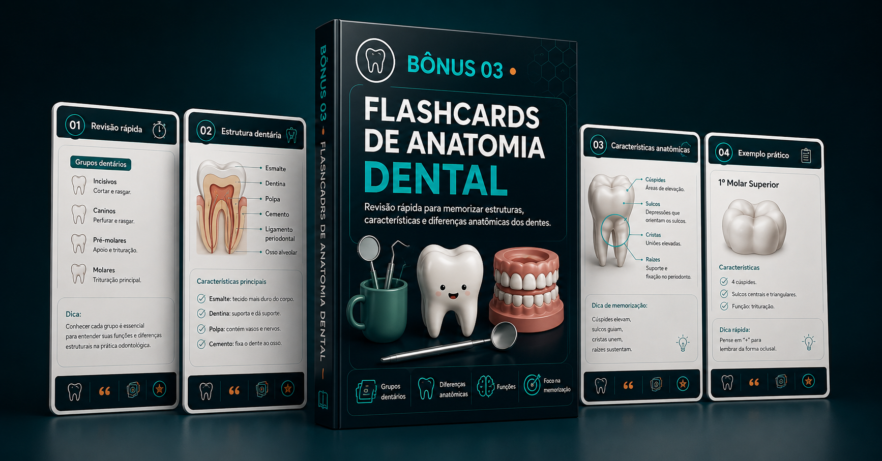 Capa do bônus Flashcards de Anatomia Dental